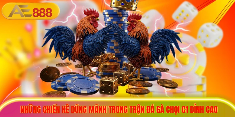 Top 5 Giải Đá Gà Chọi C1 Lớn Nhất Khu Vực Đông Nam Á 2026 Những chiến kê dũng mãnh trong trận đá gà chọi C1 đỉnh cao