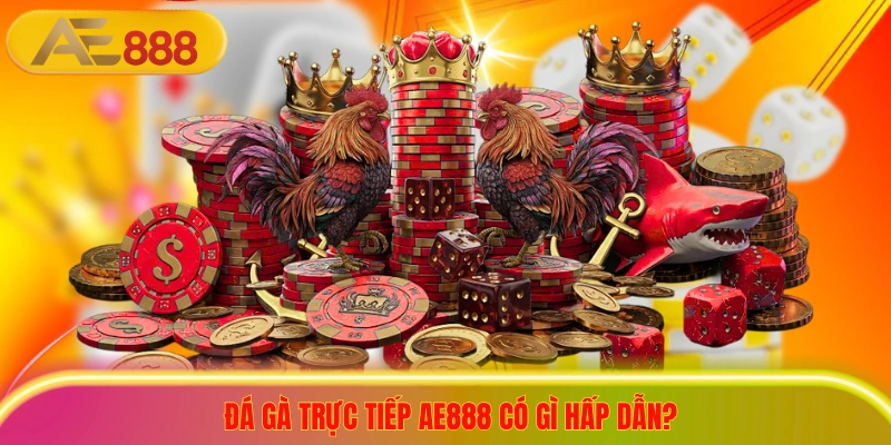 Đá Gà Trực Tiếp AE888 - Thiên Đường Nảy Lửa Cho Kê Thủ Đá gà trực tiếp ae888 có gì hấp dẫn?